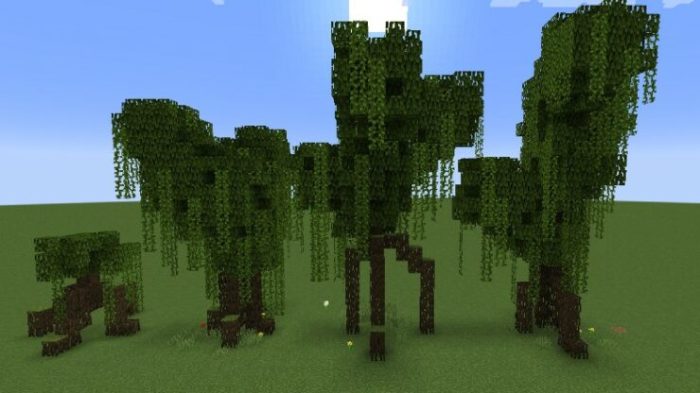 How to plant a mangrove tree minecraft