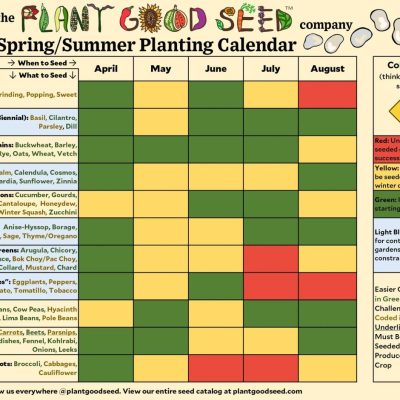 Best Time to Plant Bushes and Trees