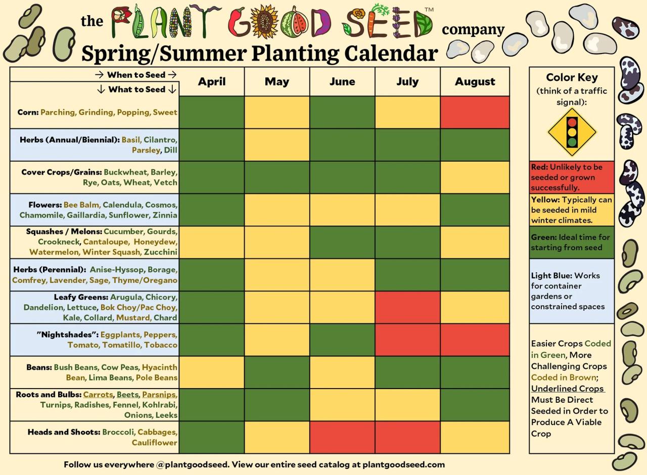 Best time to plant bushes and trees