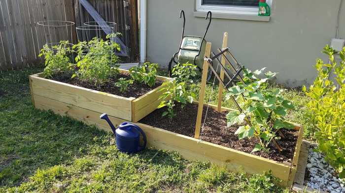 How to plant cucumber seeds