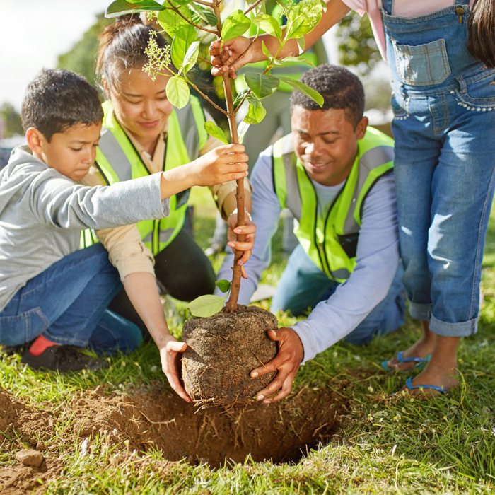 Plant Trees in Memory of Someone